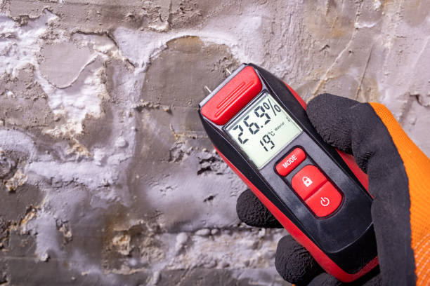 Mold Removal Process in Houston, TX