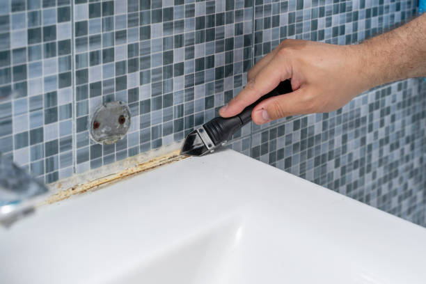 Best Professional Mold Removal  in Houston, TX