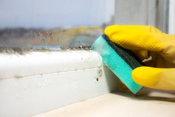 Best Mold Testing  in Houston, TX