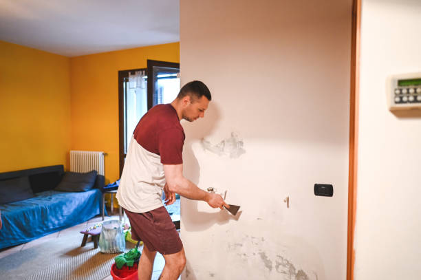 Best Local Mold Removal Service  in Houston, TX