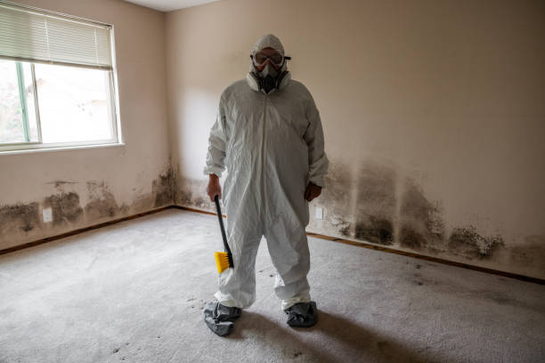 Best Mold Inspection  in Houston, TX
