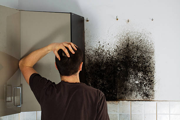 Best Crawl Space Mold Removal  in Houston, TX